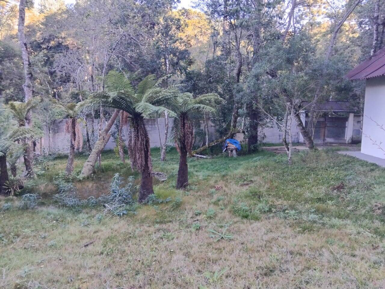 #TE0020 - Área para Venda em Campos do Jordão - SP