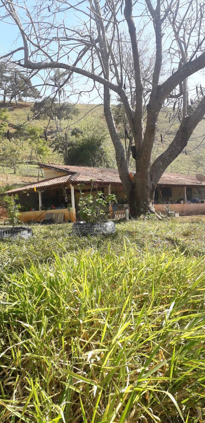 #CH0017 - Sítio para Venda em Taubaté - SP