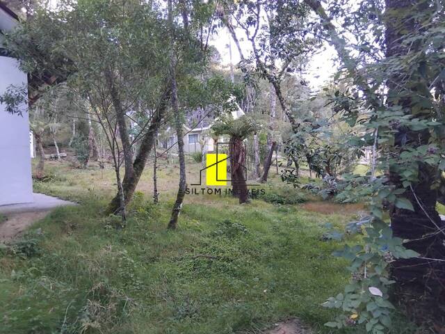 #TE0020 - Área para Venda em Campos do Jordão - SP - 3