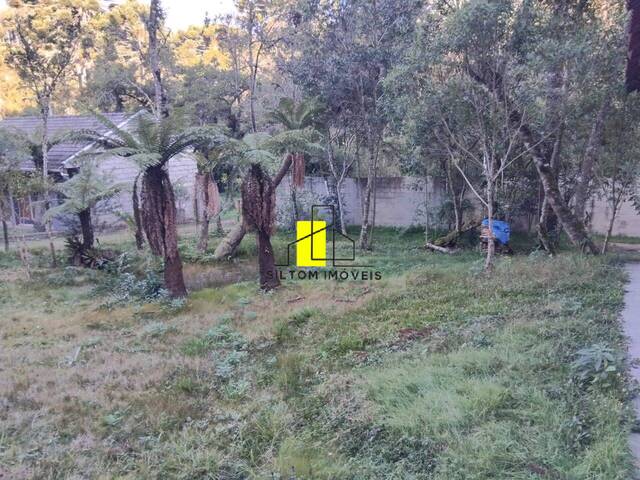 #TE0020 - Área para Venda em Campos do Jordão - SP - 2