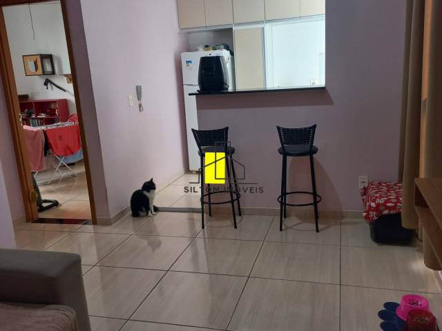 Apartamento para Locação em Taubaté - 4